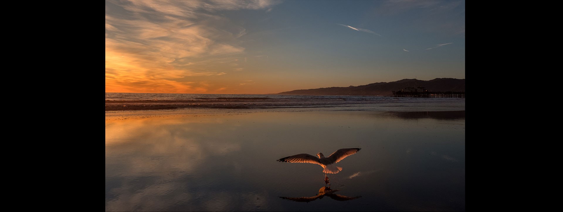 Medenčević Suki Departure 2020