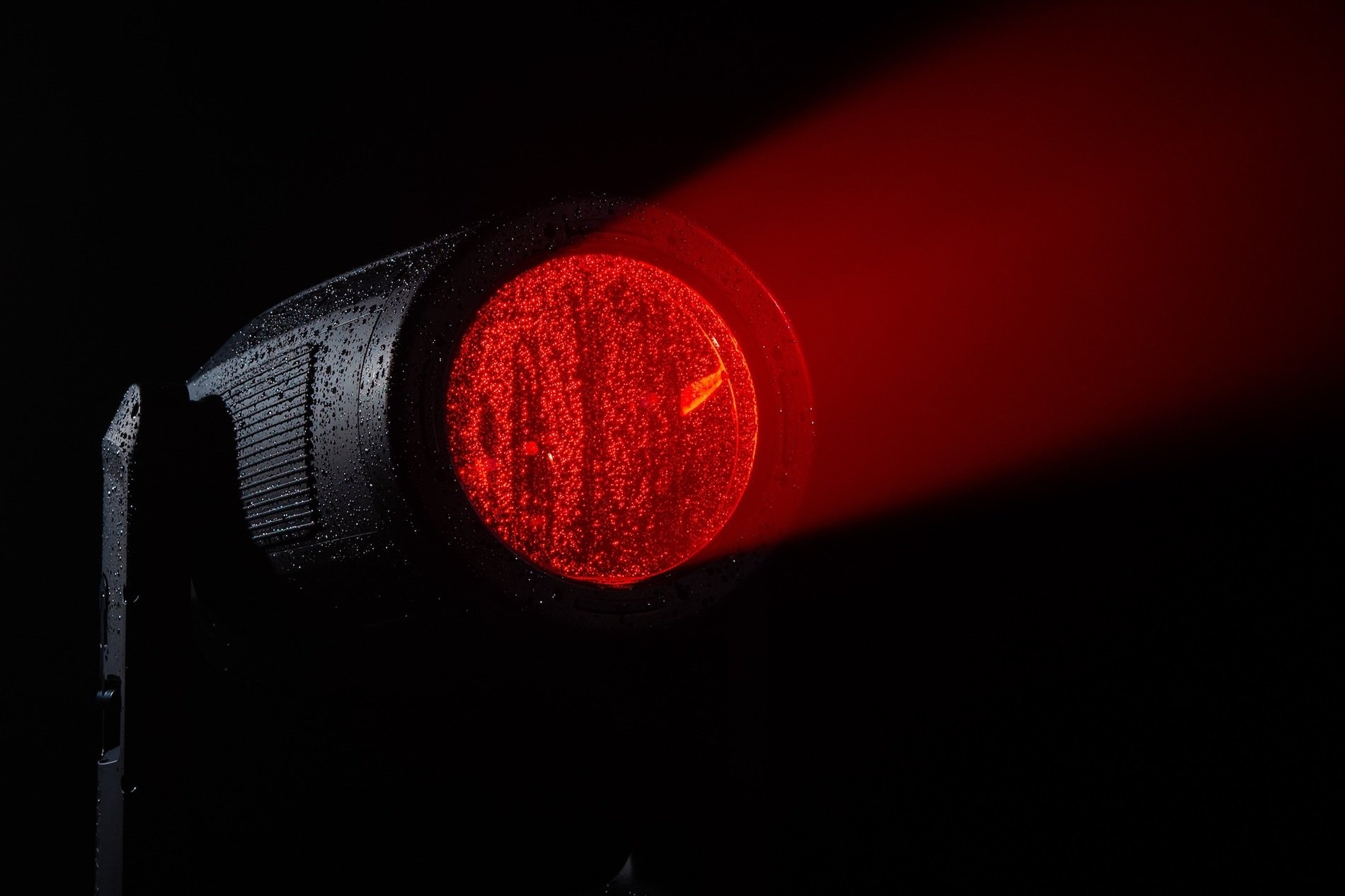 NP PARAGON LT Elation